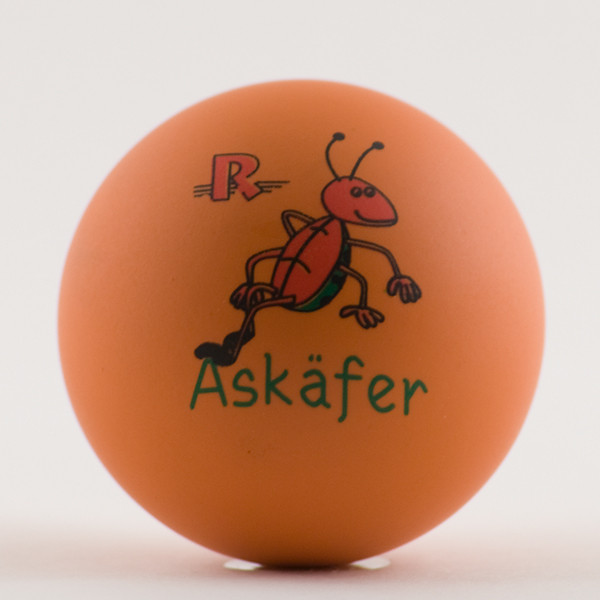 Askäfer
