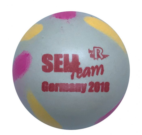 SEM Team Germany 2018
