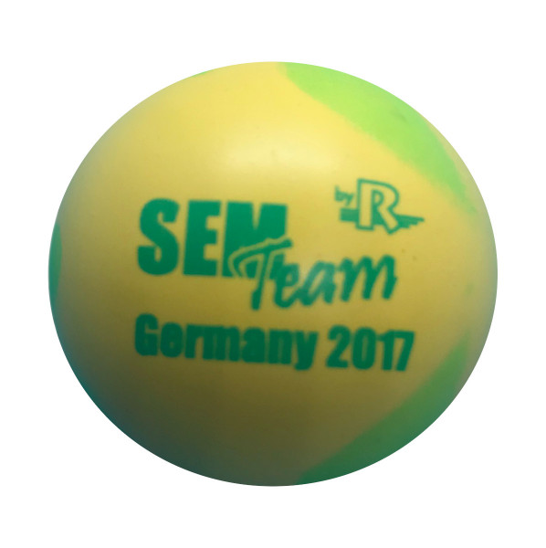 SEM Team Germany 2017